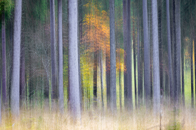 In the Middle ©