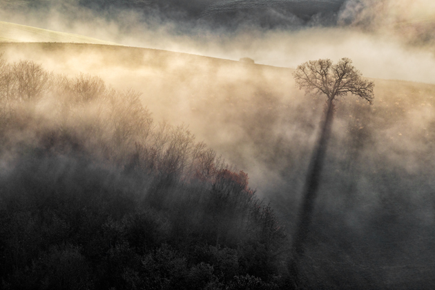 Misty Morning ©