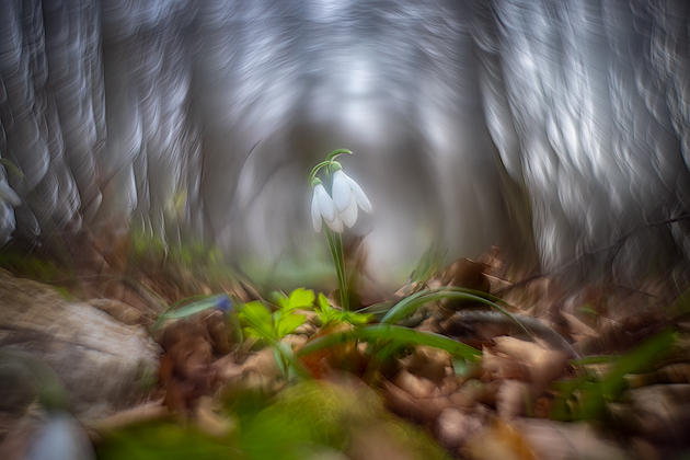 A new Beginning ©
