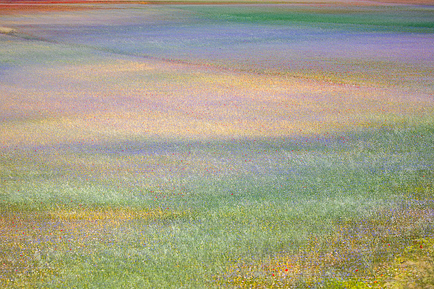 Harmony of Colors ©