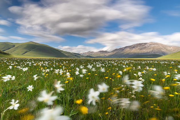 Spring Time ©
