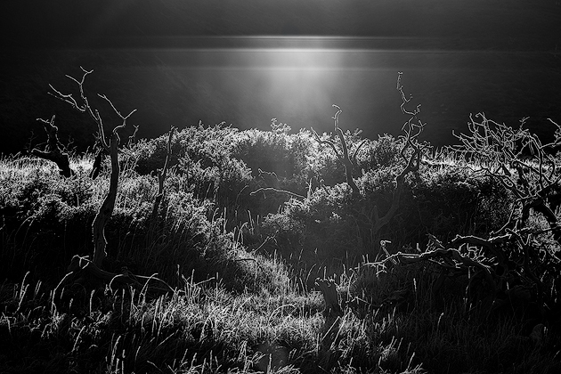 Fragile ©