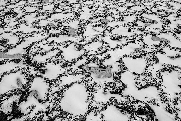 Patterns Black and White ©