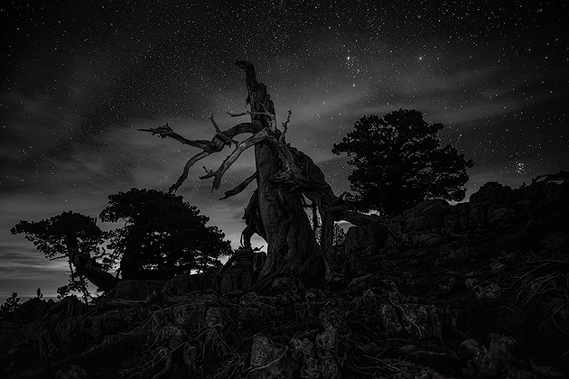 Sky of Stars ©