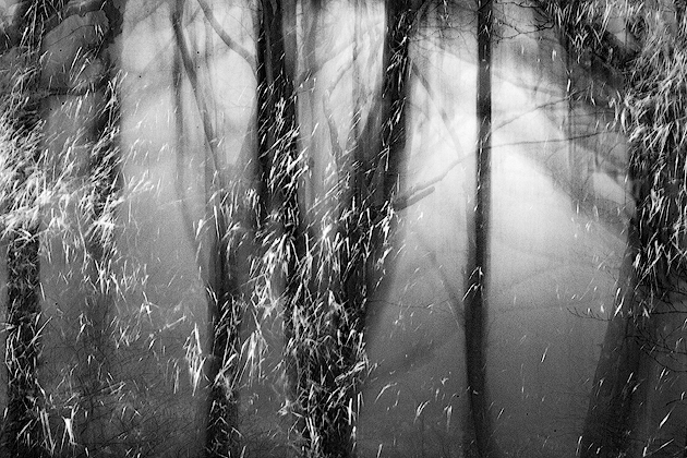 Signs of Time ©