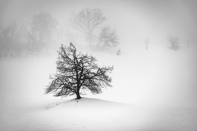 Silence of Snow ©