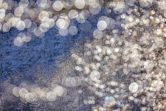 Looking Inside ©