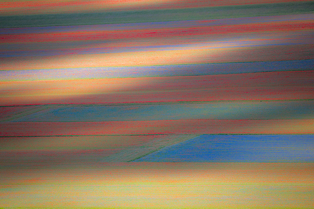 Color Palette ©