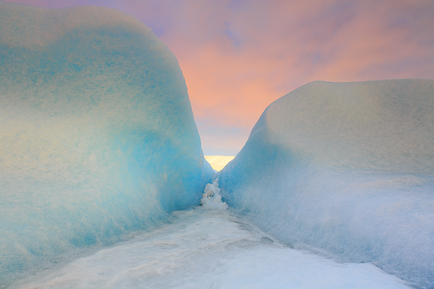 Ice Lovers ©